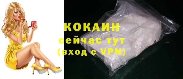 ПСИЛОЦИБИНОВЫЕ ГРИБЫ Сосновка